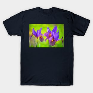 Iris 65 T-Shirt